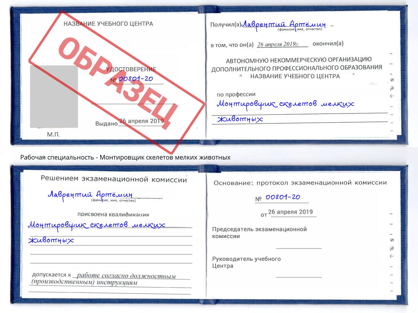 Монтировщик скелетов мелких животных Балашов