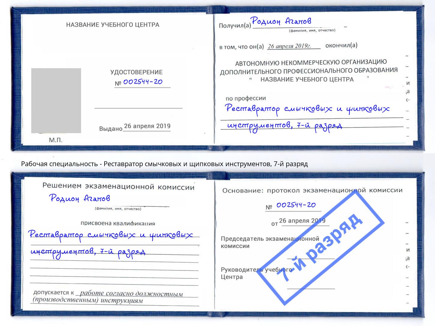 корочка 7-й разряд Реставратор смычковых и щипковых инструментов Балашов